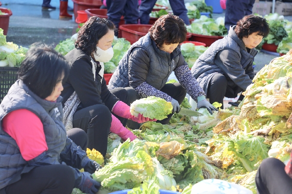 신한대학교, 제5회 ‘참!신한 김장나눔 품들이’ 성황리 마무리 대표이미지